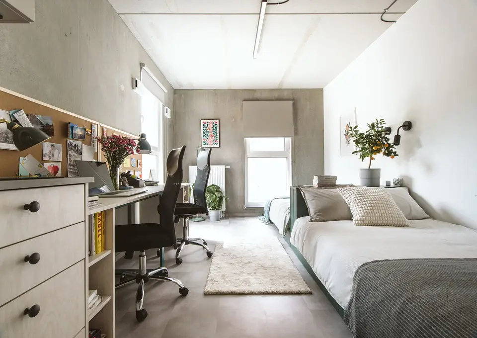 shared room in Mokotów 11