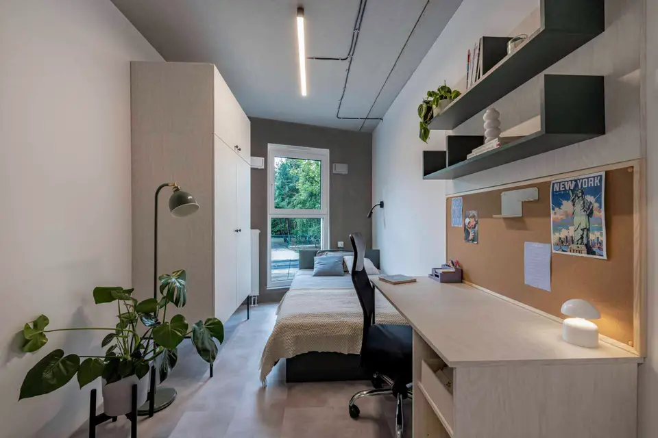 shared room in Mokotów 4