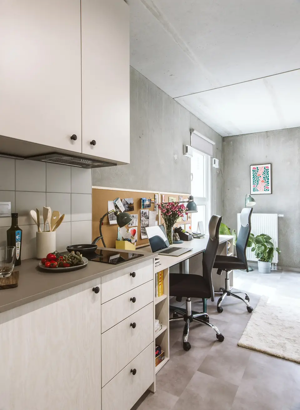 shared room in Mokotów 10